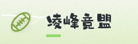 合作伙伴