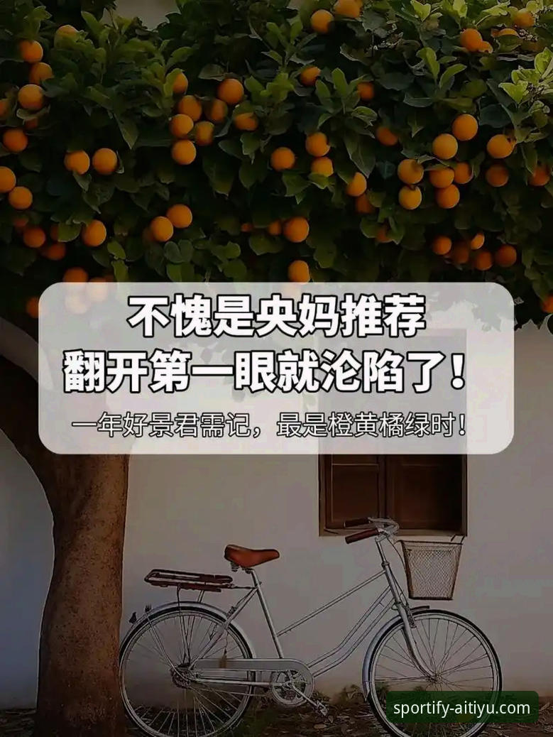 爱体育官方入口哪个好 3个关键维度解读爱体育官方入口哪个好:2024年平台选择指南